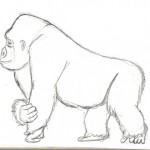 Image for Draw/Design everyday, week 4 – Primates